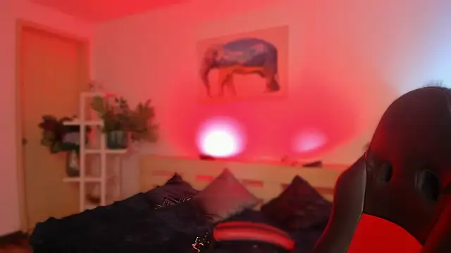 miiaa_stone live