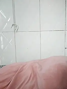 Vinice_bee live