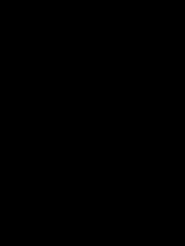 MeladoDiMel live