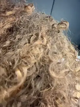 CurlyOopsieXXX live