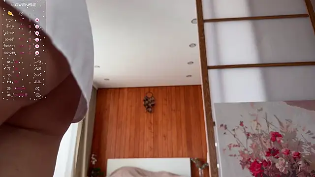 PlumyBun live