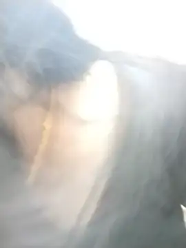 tamilrojaodi live