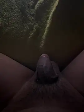 AlexCalx live