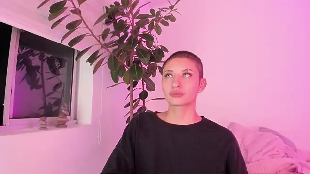 vandalovee_ live