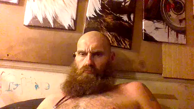 Cowboy81588 live