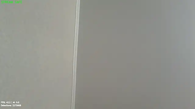 Melissa_Lie live