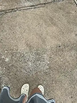 hamyy88 live