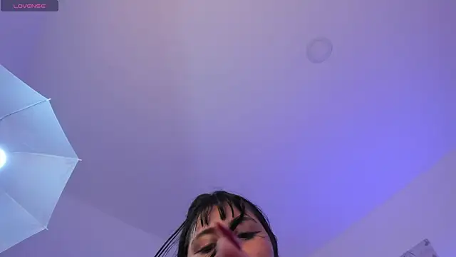 katt_lover live