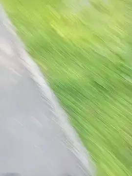 fogekaro3 live