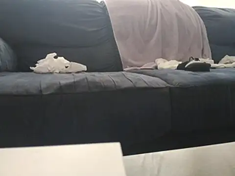 Kjosh9970 live