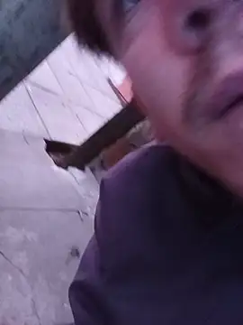 bebesuculento live