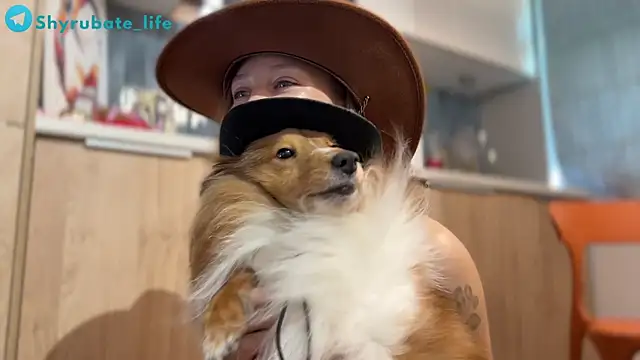 Shyrubate live