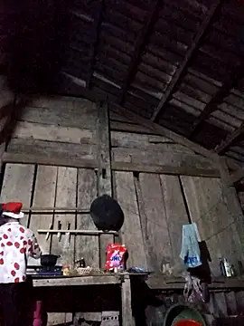 Heli_pusy live