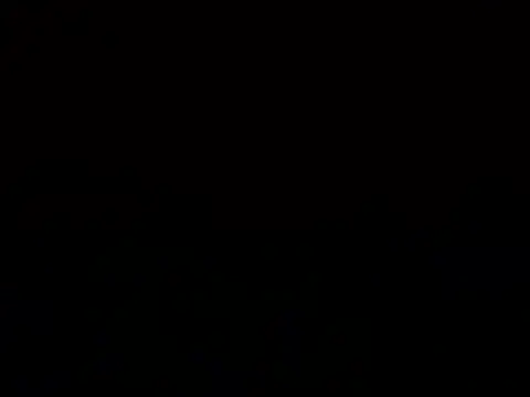 blondebony live