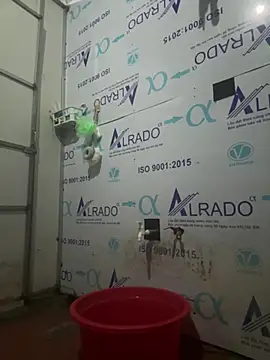 Lina-Naughty live