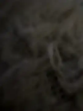 anonimgirl18old live