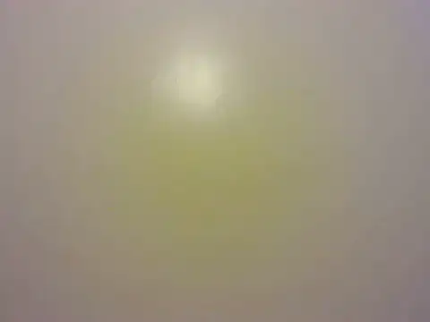 DivineDollx live