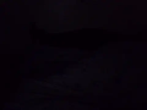 poojr2 live