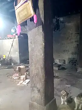 phuongtrinh1 live