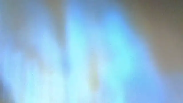 nicolesbiggy live