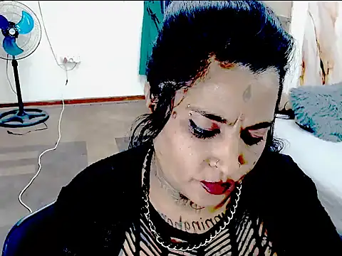 Indiancatz2 live