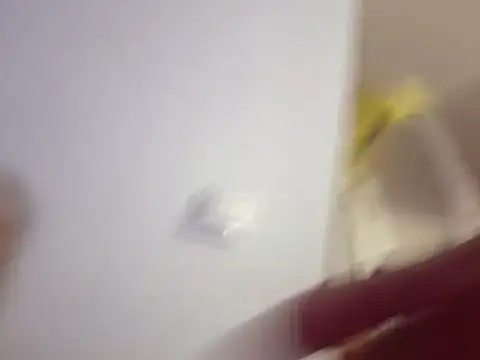 hot_butterfly_pussy live