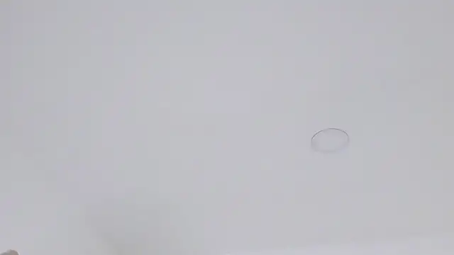scarlett_monroe__ live