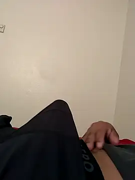 pandaexpreso live
