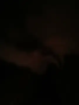 colosseMuslim01 live