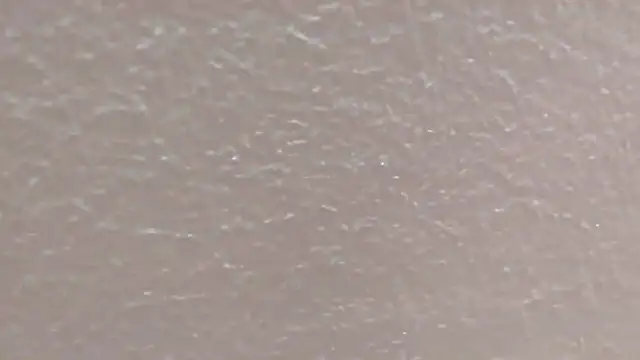 zephyreIIa live