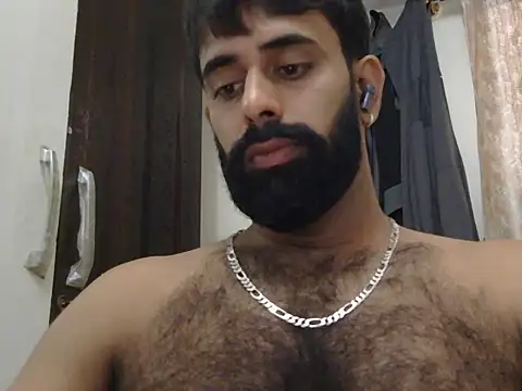 indianhairybull live