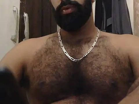 indianhairybull live