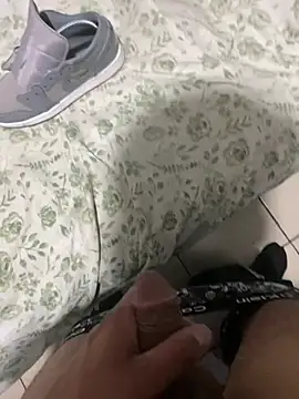 Polladuraparati25 live