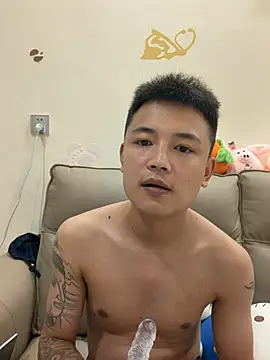 cizong7 live