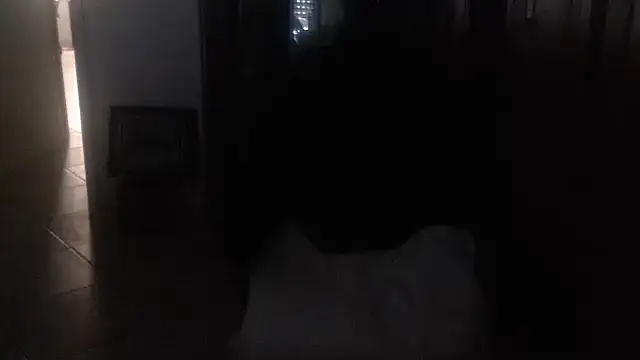 joeydee1 live