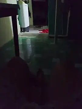 Oscarinylupis2328 live