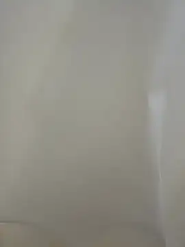 LatinFurBall live