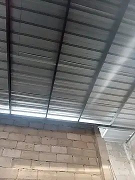 Geampi33 live