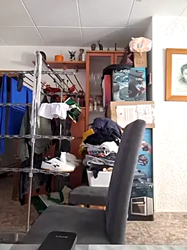Javier_bear live
