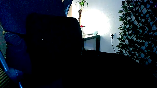 topdomcloud36 live