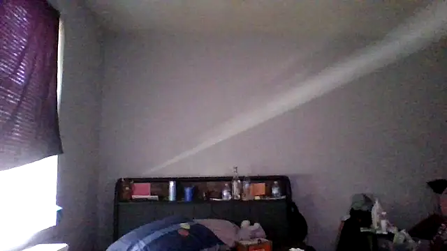 BedazedFirefly live