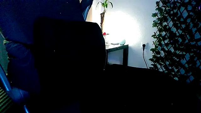 topdomcloud36 live