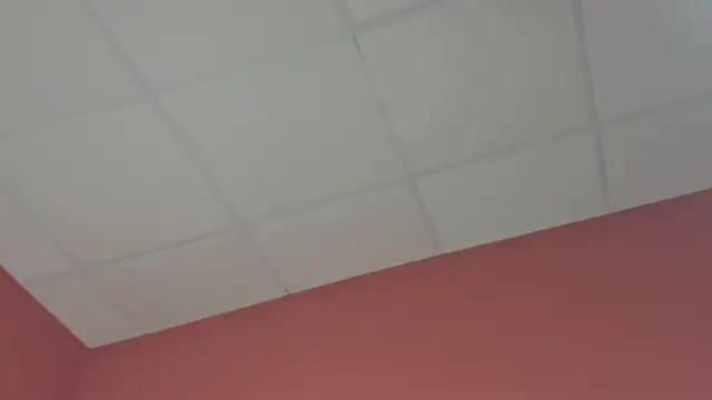 Sakura_Mist live