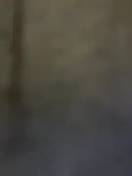 Broklinwhite_ live