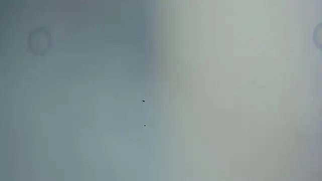 AmbarBrownn1_ live