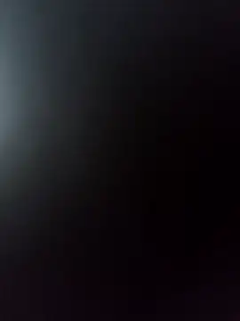 lui8181 live