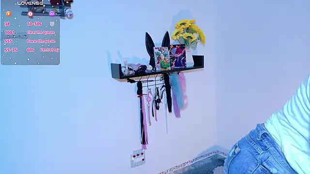 Meow_cat4 live