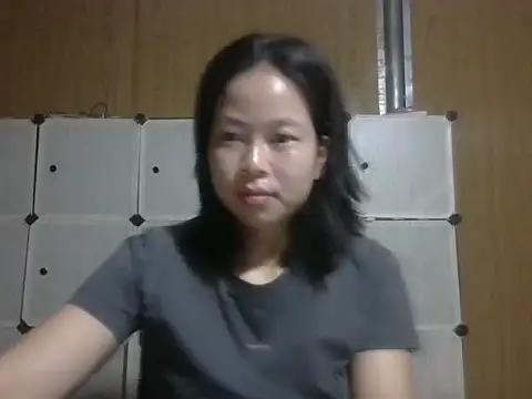 Cat-meow live