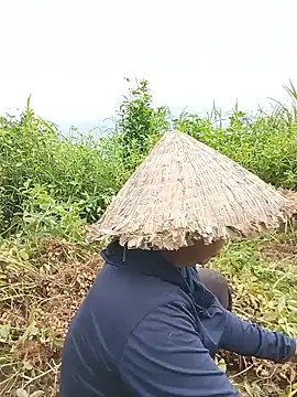 tuyet-nhi live