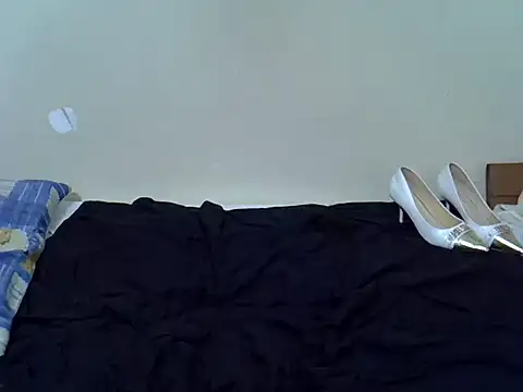 pointie_bloomy live